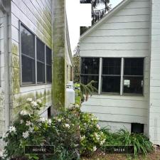 Mold mildew algae removal (5)